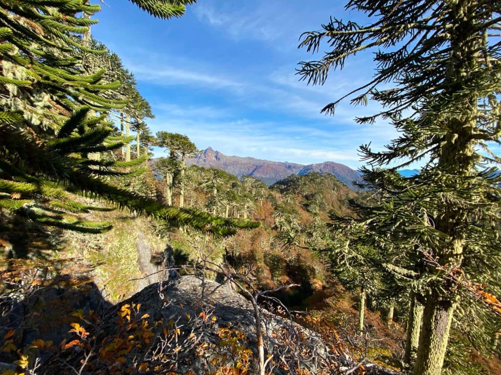 Cerro Las Peinetas, Pocolpén Adventur
